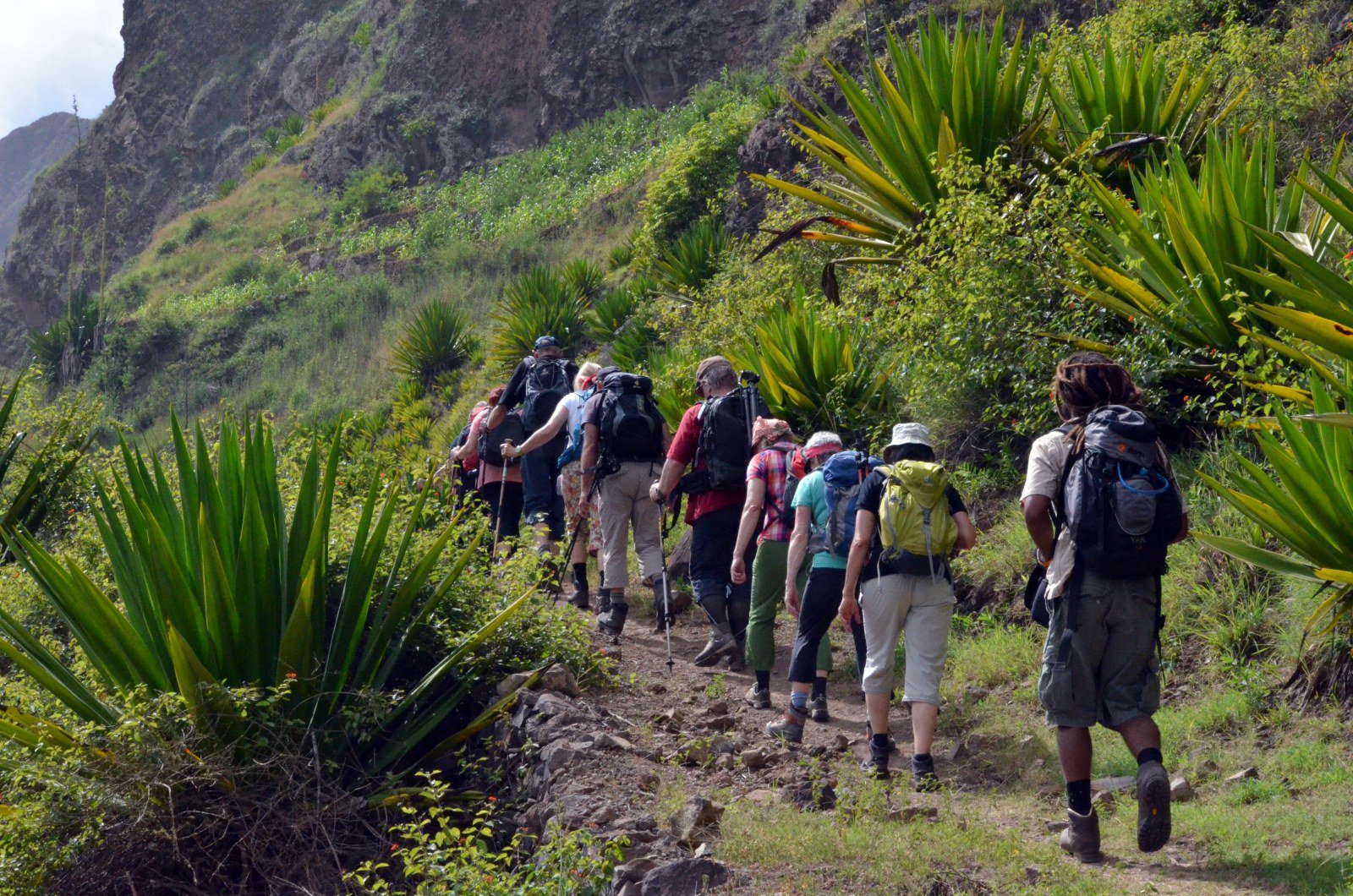 Santo Antao: Die ca. 6-stündige leicht bis mittelschwere Wanderung zum Pico de Antonio nach Figueiral führt Sie durch tropische Landschaften mit fantastischen Ausblicken. Tritt- und Schwindelfreiheit sowie gutes Schuhwerk sind Voraussetzungen für diese Tour im grünen Val do Paul. Die Wanderung endet im tropischen Tal von Figueiral.