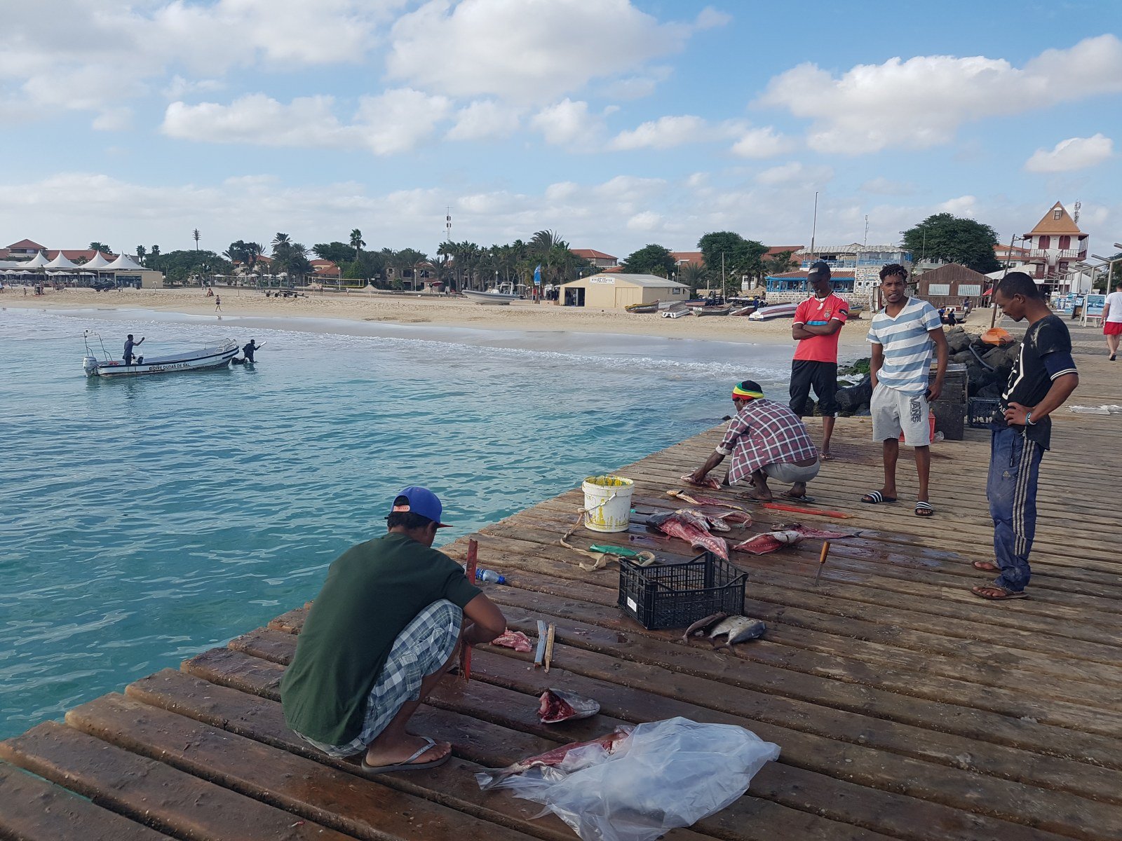 Auf der Kapverdischen Insel Sal kann man täglich Fischer beobachten, die ihren Fang an Land bringen